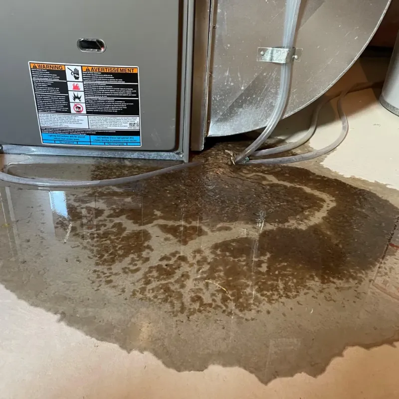 Appliance Leak Cleanup in Plymouth, NC